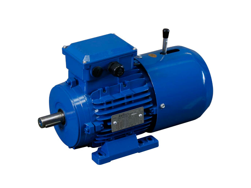 Motor trifásico Amtecs de 5,5 kW (7,5 CV) 4 polos (1500 rpm) bastidor 132