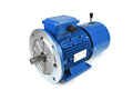 Amtecs 0.75kW (1HP) Three Phase Motor 2-Pole (3000 rpm) 80 Frame - DC Brake Motor